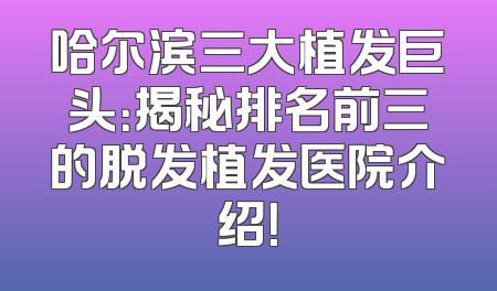 哈尔滨三大植发巨头：揭秘排名前三的脱发植发医院介绍！