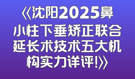《沈阳2025鼻小柱下垂矫正联合延长术技术五大机构实力详评！》