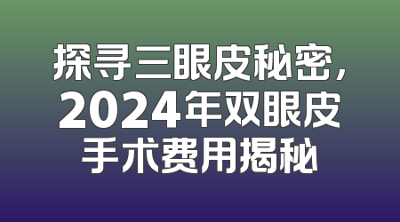 探寻三眼皮秘密，2024年双眼皮手术费用揭秘
