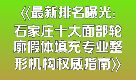 《最新排名曝光：石家庄十大面部轮廓假体填充专业整形机构权威指南》
