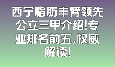 西宁脂肪丰臂领先公立三甲介绍！专业排名前五，权威解读！