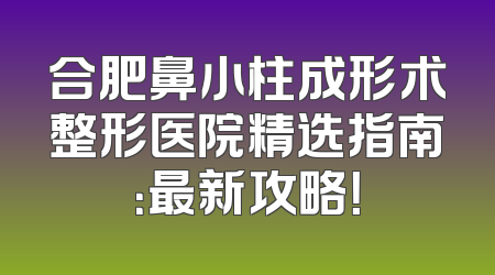 合肥鼻小柱成形术整形医院精选指南：最新攻略！