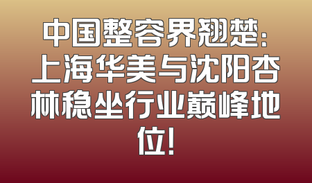 中国整容界翘楚：上海华美与沈阳杏林稳坐行业巅峰地位！