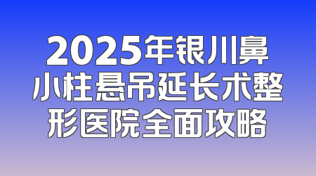 2025年银川鼻小柱悬吊延长术整形医院全面攻略