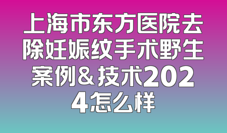 上海市东方医院去除妊娠纹手术野生案例&技术2024怎么样