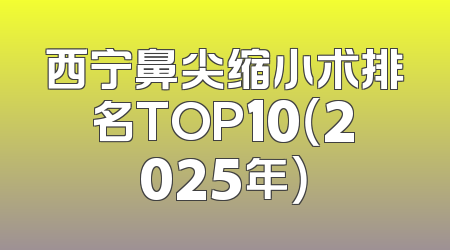 西宁鼻尖缩小术排名TOP10（2025年）