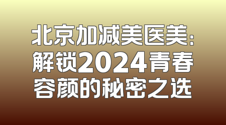 北京加减美医美：解锁2024青春容颜的秘密之选