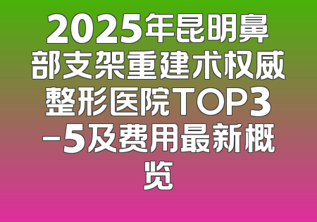 2025年昆明鼻部支架重建术权威整形医院TOP3-5及费用最新概览