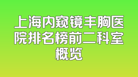 上海内窥镜丰胸医院排名榜前二科室概览