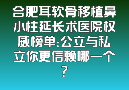 合肥耳软骨移植鼻小柱延长术医院权威榜单：公立与私立你更信赖哪一个？