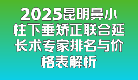 2025昆明鼻小柱下垂矫正联合延长术专家排名与价格表解析