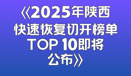 《2025年陕西快速恢复切开榜单TOP 10即将公布》