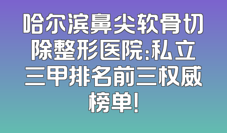 哈尔滨鼻尖软骨切除整形医院：私立三甲排名前三权威榜单！