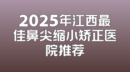 2025年江西最佳鼻尖缩小矫正医院推荐
