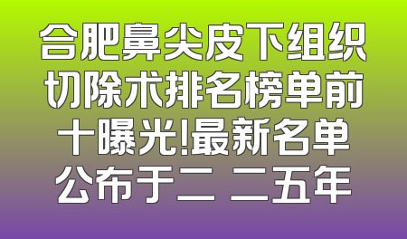 合肥鼻尖皮下组织切除术排名榜单前十曝光！最新名单公布于二〇二五年