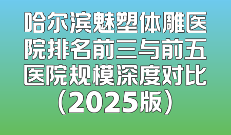哈尔滨魅塑体雕医院排名前三与前五医院规模深度对比（2025版）