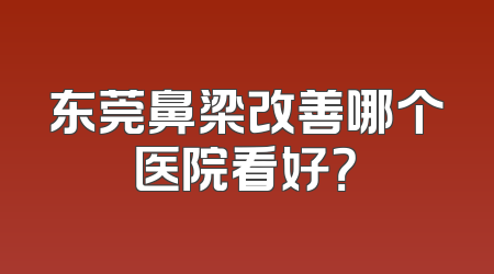 东莞鼻梁改善哪个医院看好？