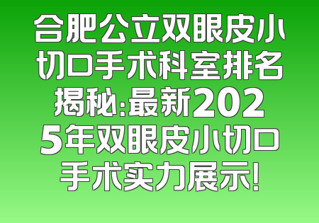 合肥公立双眼皮小切口手术科室排名揭秘：最新2025年双眼皮小切口手术实力展示！