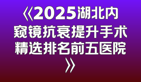 《2025湖北内窥镜抗衰提升手术精选排名前五医院》