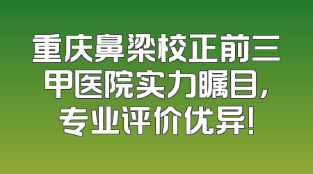 重庆鼻梁校正前三甲医院实力瞩目，专业评价优异！
