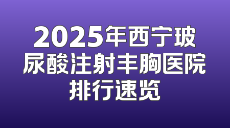 2025年西宁玻尿酸注射丰胸医院排行速览