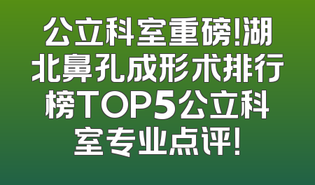 公立科室重磅！湖北鼻孔成形术排行榜TOP5公立科室专业点评！