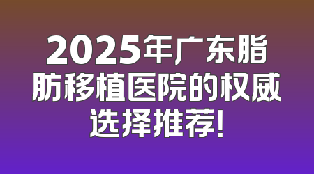 2025年广东脂肪移植医院的权威选择推荐！