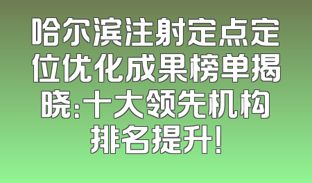 哈尔滨注射定点定位优化成果榜单揭晓：十大领先机构排名提升！