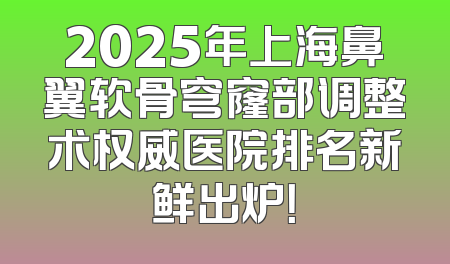 2025年上海鼻翼软骨穹窿部调整术权威医院排名新鲜出炉！