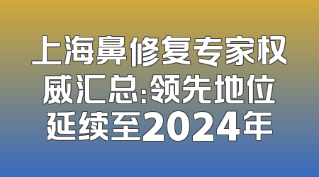 上海鼻修复专家权威汇总：领先地位延续至2024年