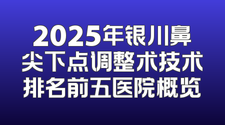 2025年银川鼻尖下点调整术技术排名前五医院概览