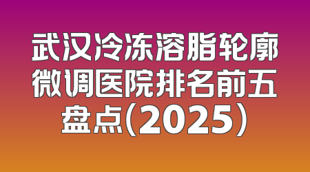 武汉冷冻溶脂轮廓微调医院排名前五盘点（2025）
