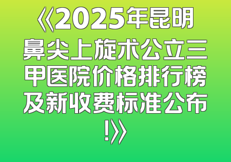 《2025年昆明鼻尖上旋术公立三甲医院价格排行榜及新收费标准公布！》