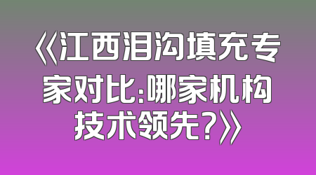 《江西泪沟填充专家对比：哪家机构技术领先？》