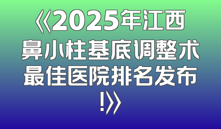 《2025年江西鼻小柱基底调整术最佳医院排名发布！》