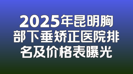 2025年昆明胸部下垂矫正医院排名及价格表曝光