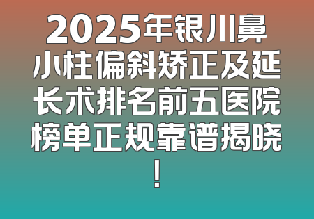 2025年银川鼻小柱偏斜矫正及延长术排名前五医院榜单正规靠谱揭晓！