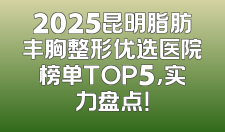 2025昆明脂肪丰胸整形优选医院榜单TOP5，实力盘点！