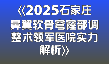 《2025石家庄鼻翼软骨穹窿部调整术领军医院实力解析》