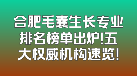 合肥毛囊生长专业排名榜单出炉！五大权威机构速览！