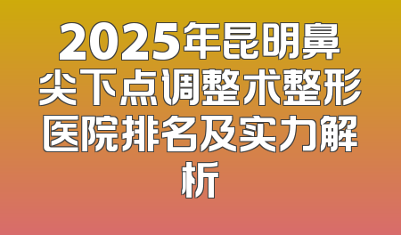 2025年昆明鼻尖下点调整术整形医院排名及实力解析