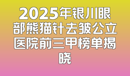 2025年银川眼部熊猫针去皱公立医院前三甲榜单揭晓