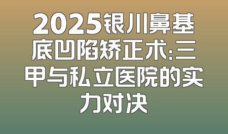 2025银川鼻基底凹陷矫正术：三甲与私立医院的实力对决