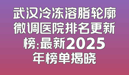 武汉冷冻溶脂轮廓微调医院排名更新榜：最新2025年榜单揭晓