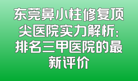 东莞鼻小柱修复顶尖医院实力解析：排名三甲医院的最新评价