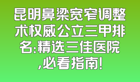 昆明鼻梁宽窄调整术权威公立三甲排名：精选三佳医院，必看指南！