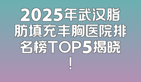 2025年武汉脂肪填充丰胸医院排名榜TOP5揭晓！