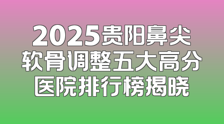 2025贵阳鼻尖软骨调整五大高分医院排行榜揭晓