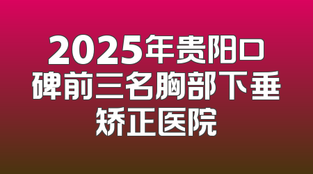 2025年贵阳口碑前三名胸部下垂矫正医院