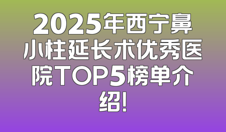 2025年西宁鼻小柱延长术优秀医院TOP5榜单介绍！